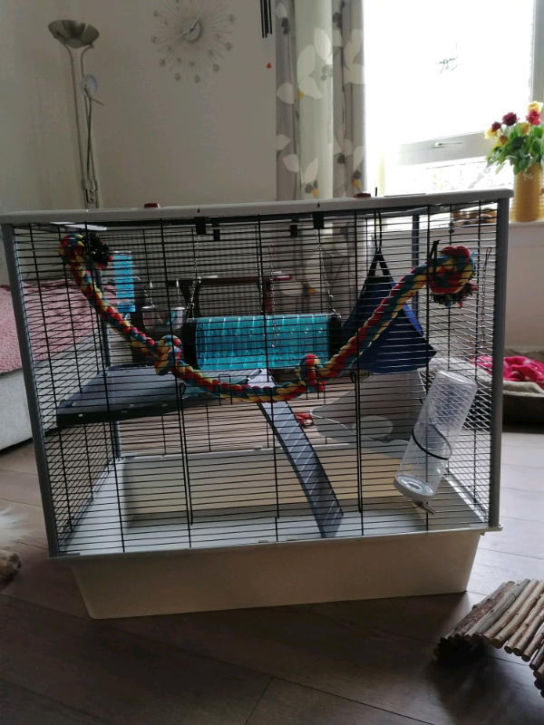 rat cage bedding